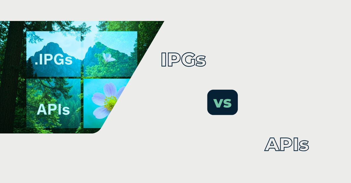 Internet Payment Gateway and Payment APIs