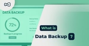 Data Backup